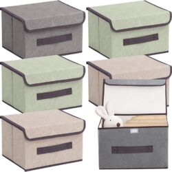 Juego de 6 Caja de Almacenamiento con Tapa y Asa